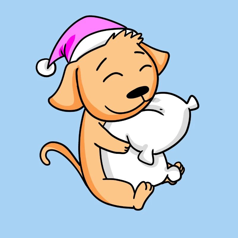 Chien avec oreiller et bonnet de couchage