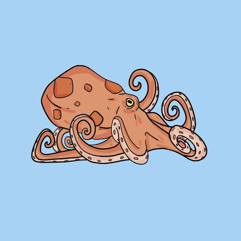 Octopus Octopus