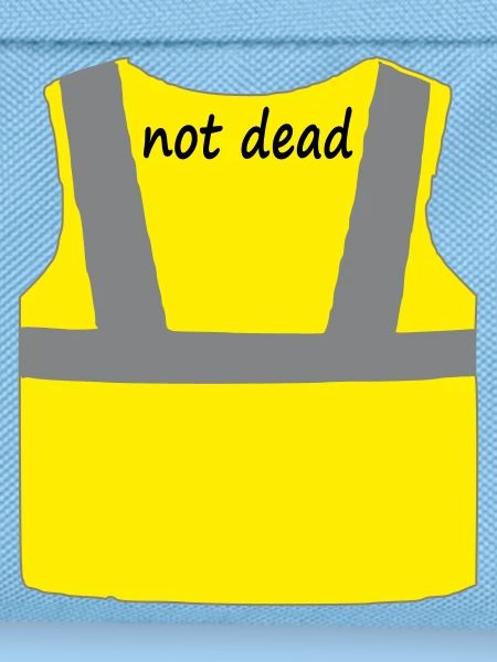 Yellow vest