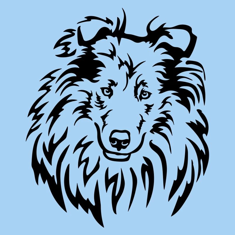 Tête de Collie