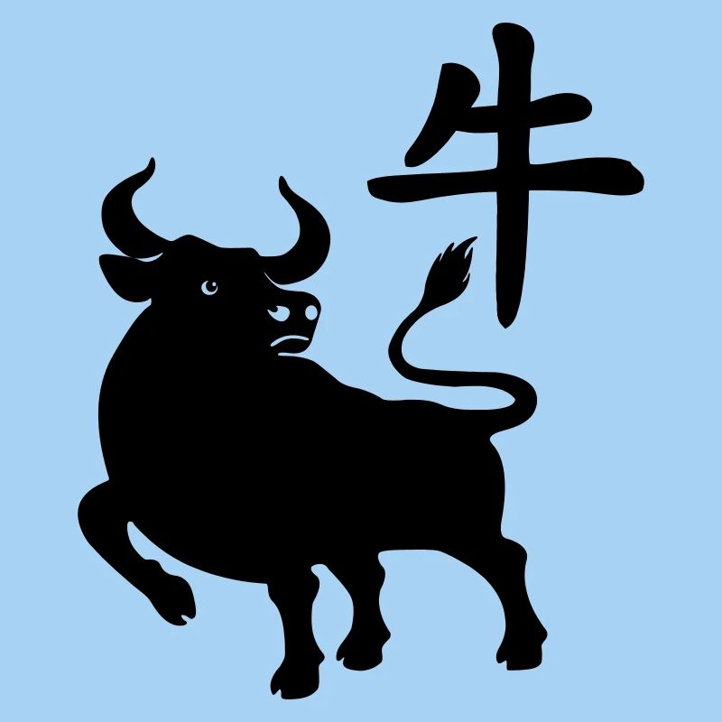 Caractère chinois OS avec image du système d’exploitation, ombre