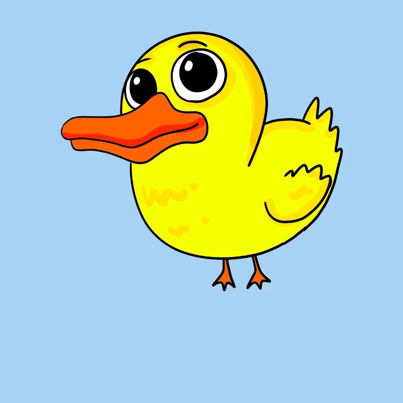 Canard