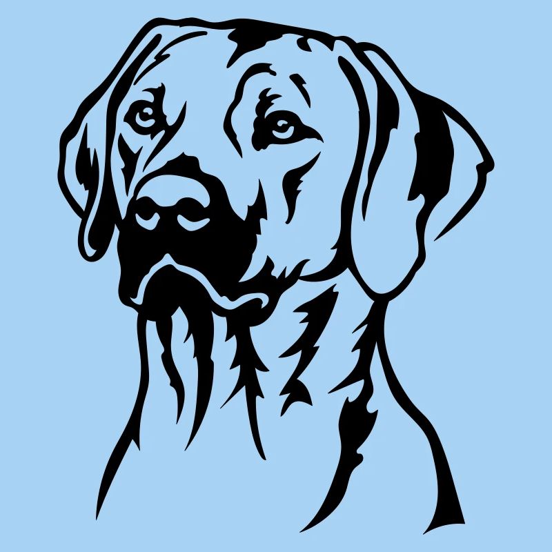 Rhodesian Ridgeback Head