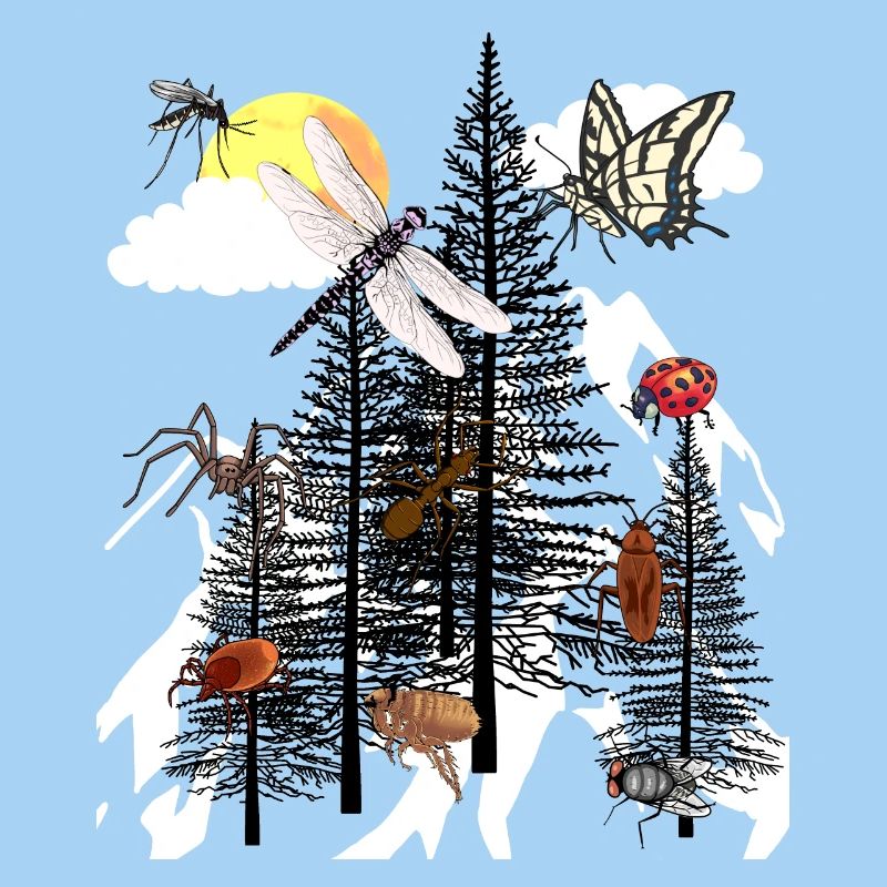Nature Conservation Ecology Environment Insects Insect Nature