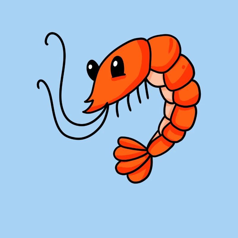 Shrimp Shrimp