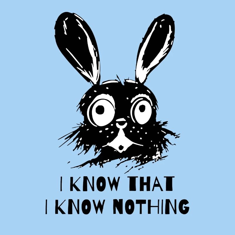 I know that I don't know anything - Wise Rabbit