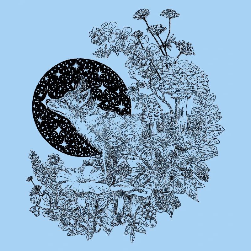 FOX & NIGHT SKY 