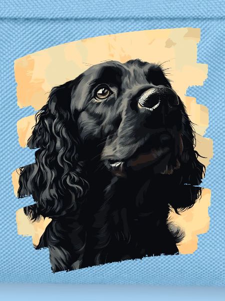 Cocker Spaniel