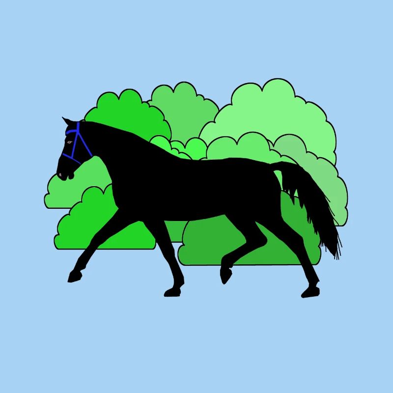 Pferd Pferde Rappe