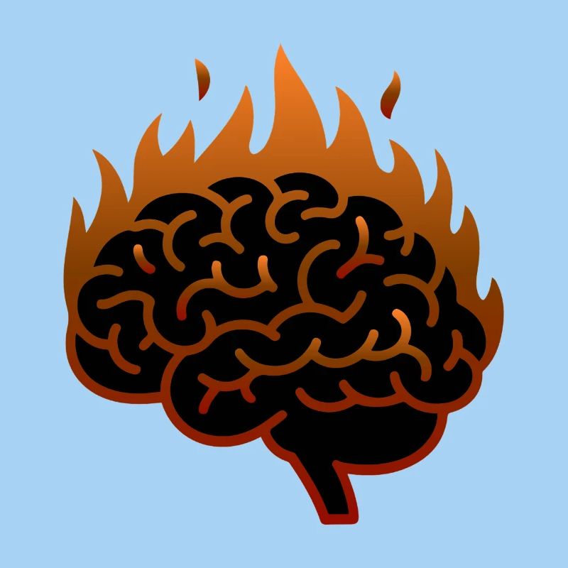 THE BRAIN