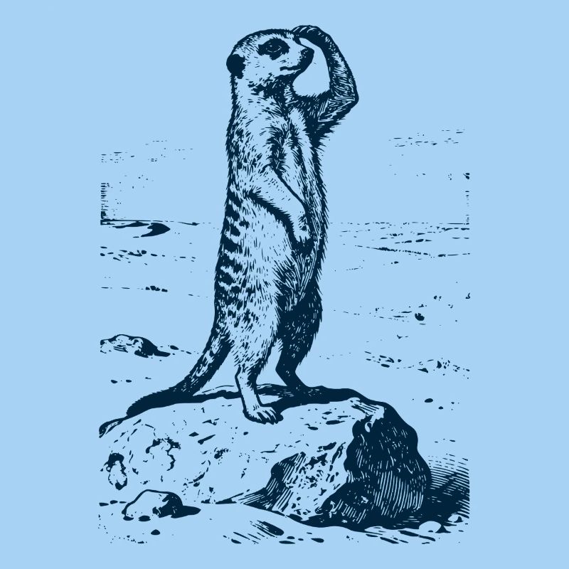 Meerkat Guard