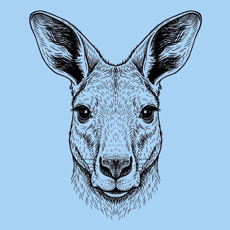 Känguru