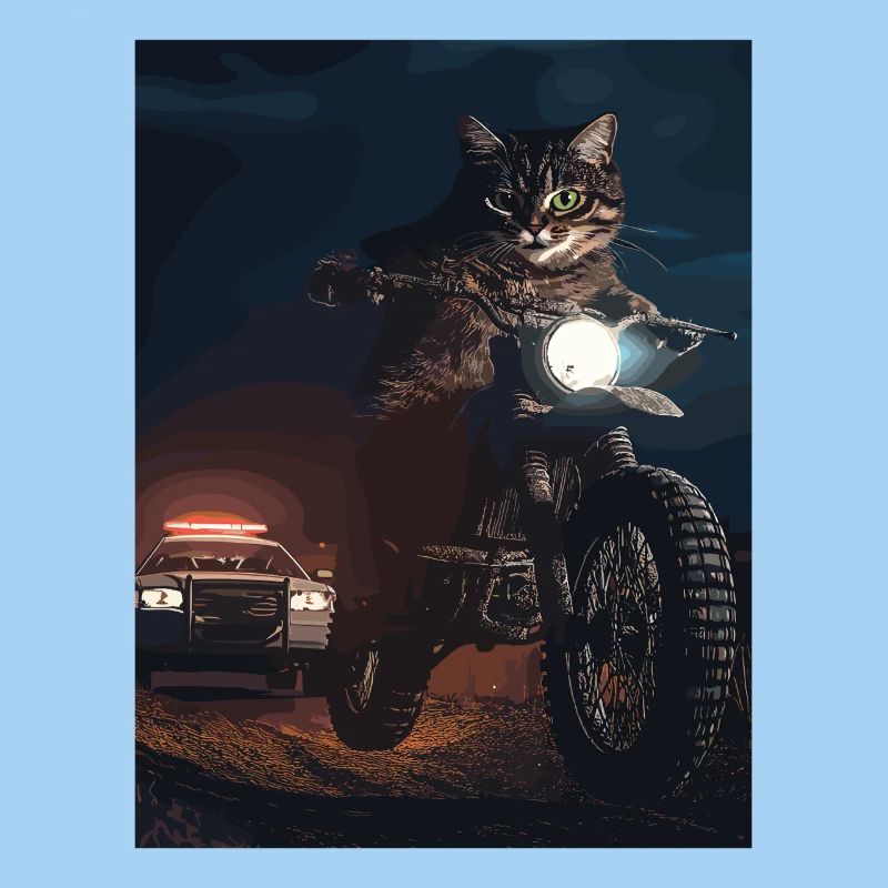 Chat de nuit à moto