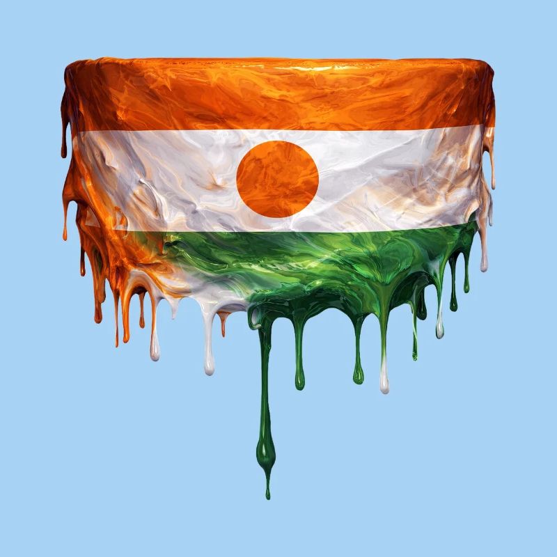Art de la chute du drapeau du Niger