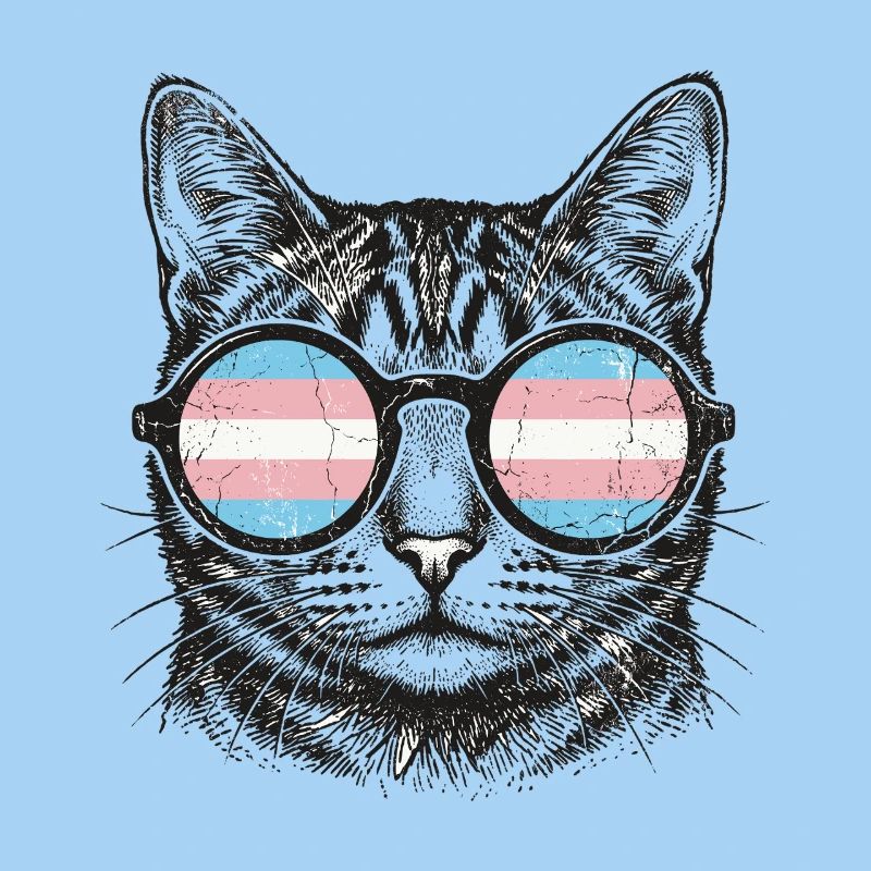 LGBT-Pride-Monat – Trans-Pride-Katze