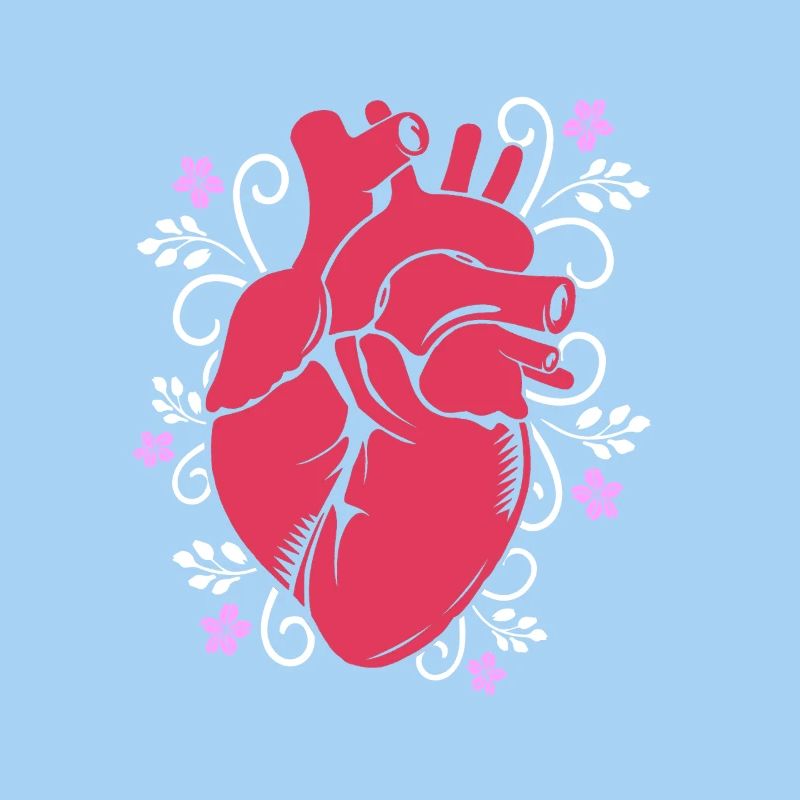 Cardiogram, cardiography, sonography, ultrasound