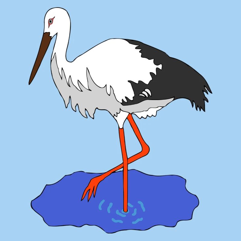 stork