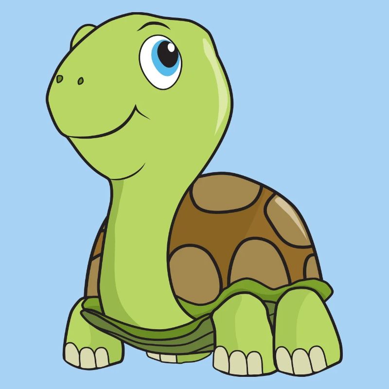 Tortoise turtle