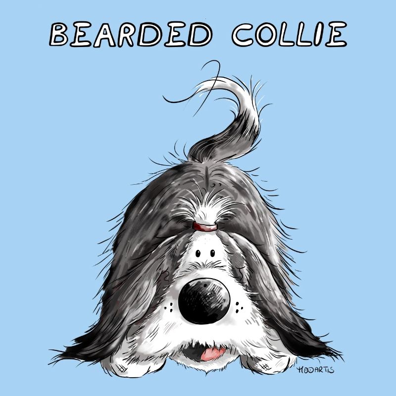 Playing Bearded Collie