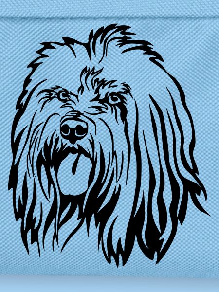 Tibet Terrier Head