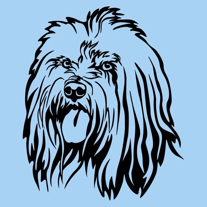 Tibet Terrier Kopf