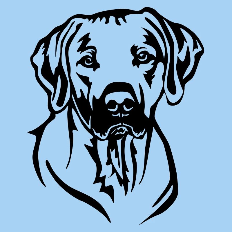 Rhodesian Ridgeback Head