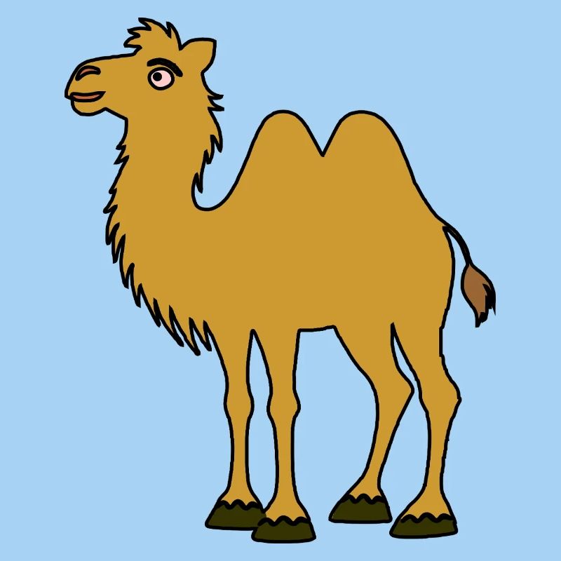 Braunes Kamel mit zwei Höckern