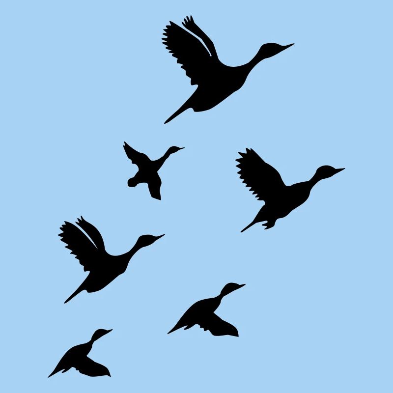 Flying Ducks