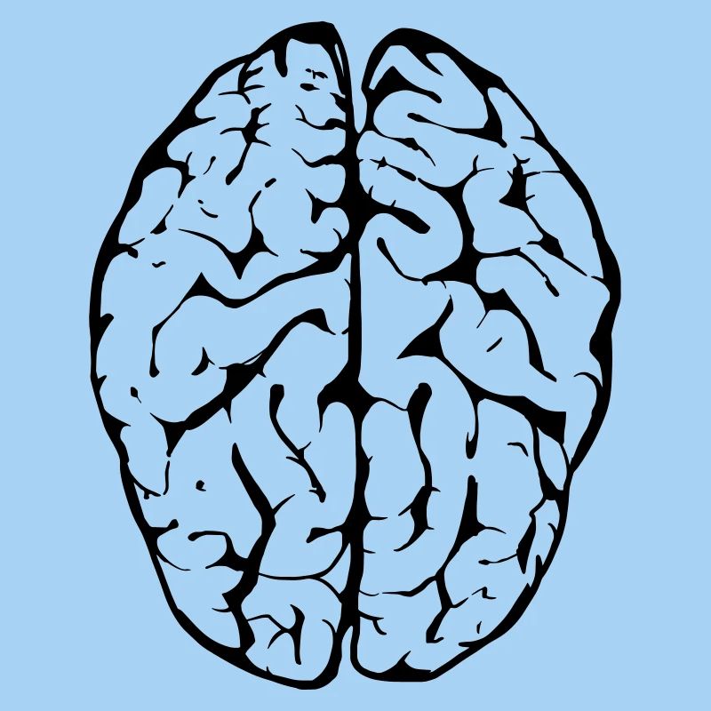 brain