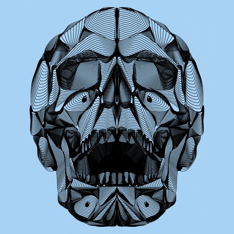 Human Skull