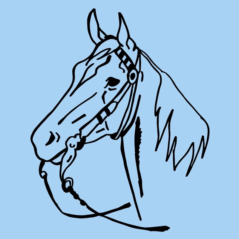 cheval western