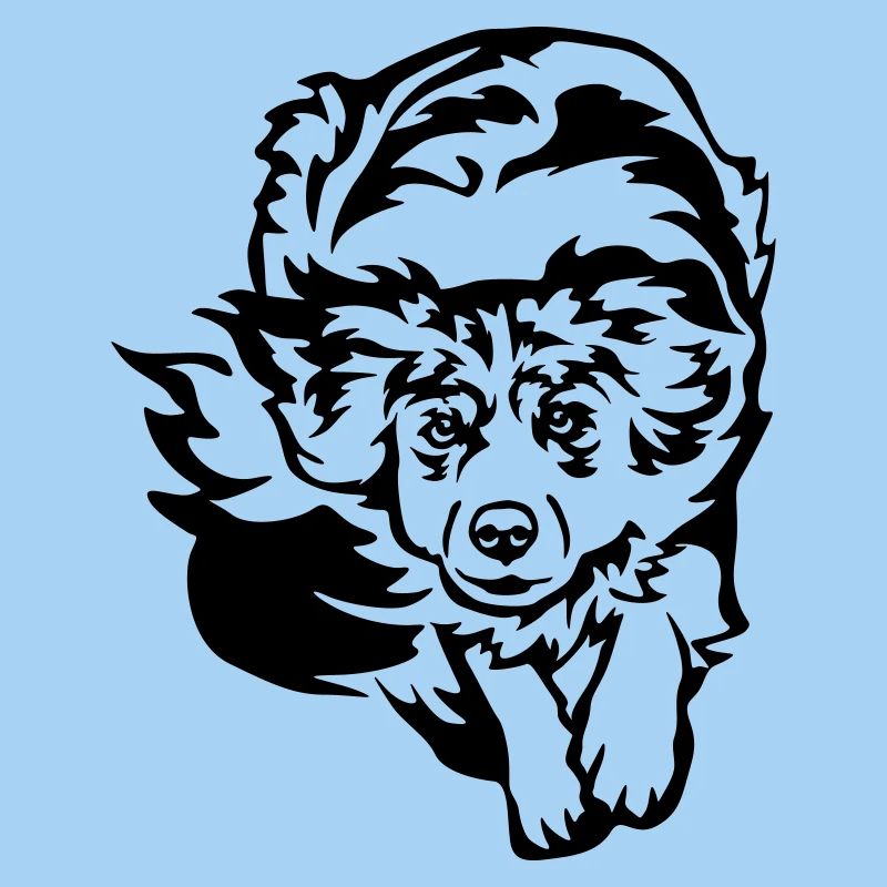 Australian Shepherd