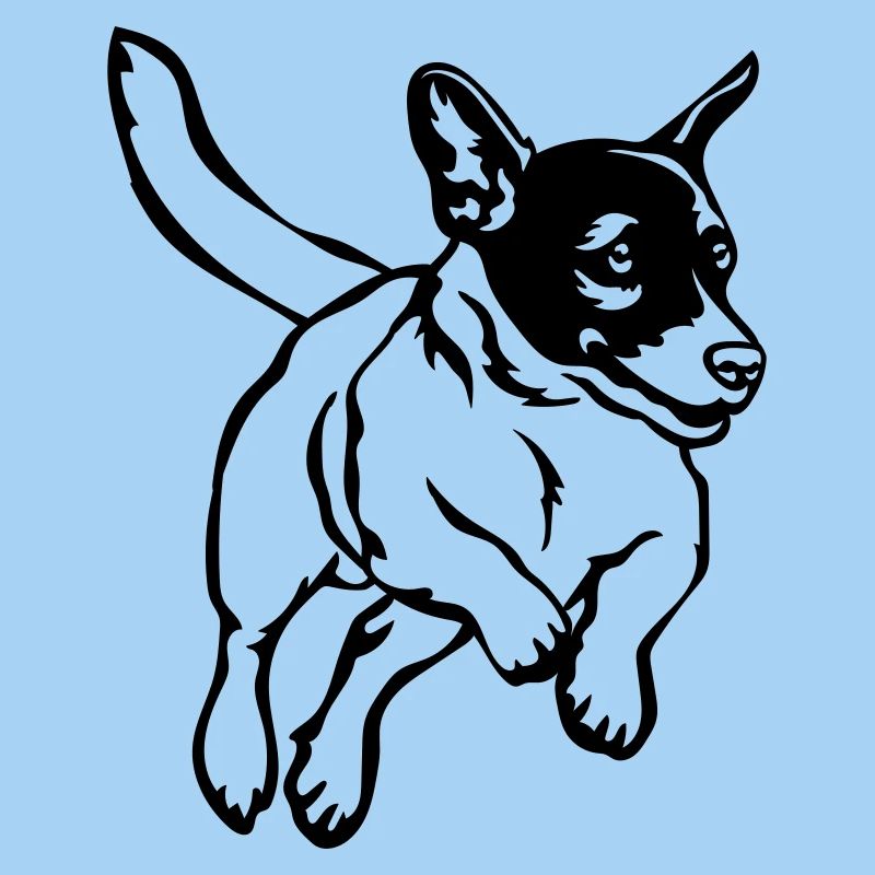 Jack Russell Terrier