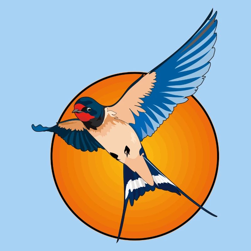 Schwalben 2