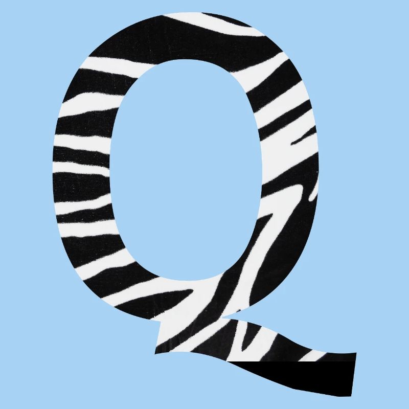 Letter q zebra