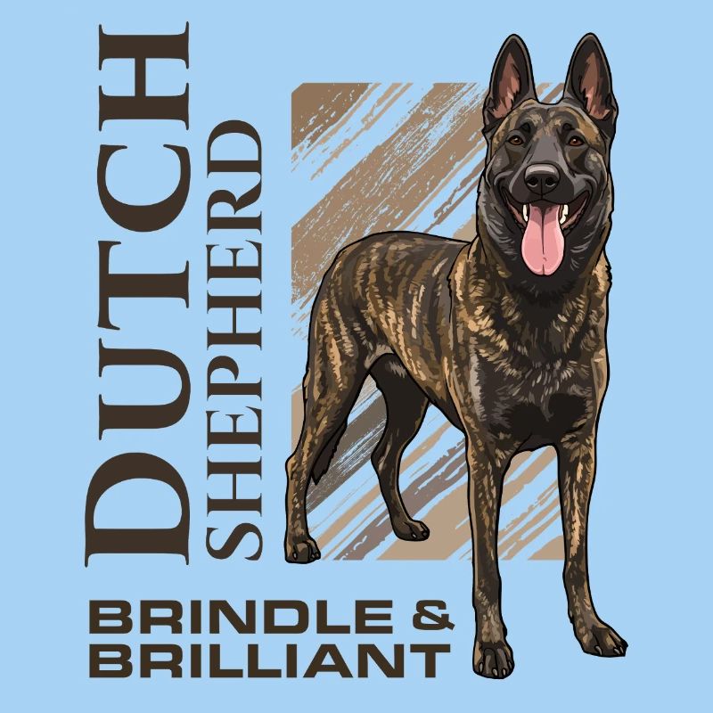 Dutch Shepherd - Dutchie 