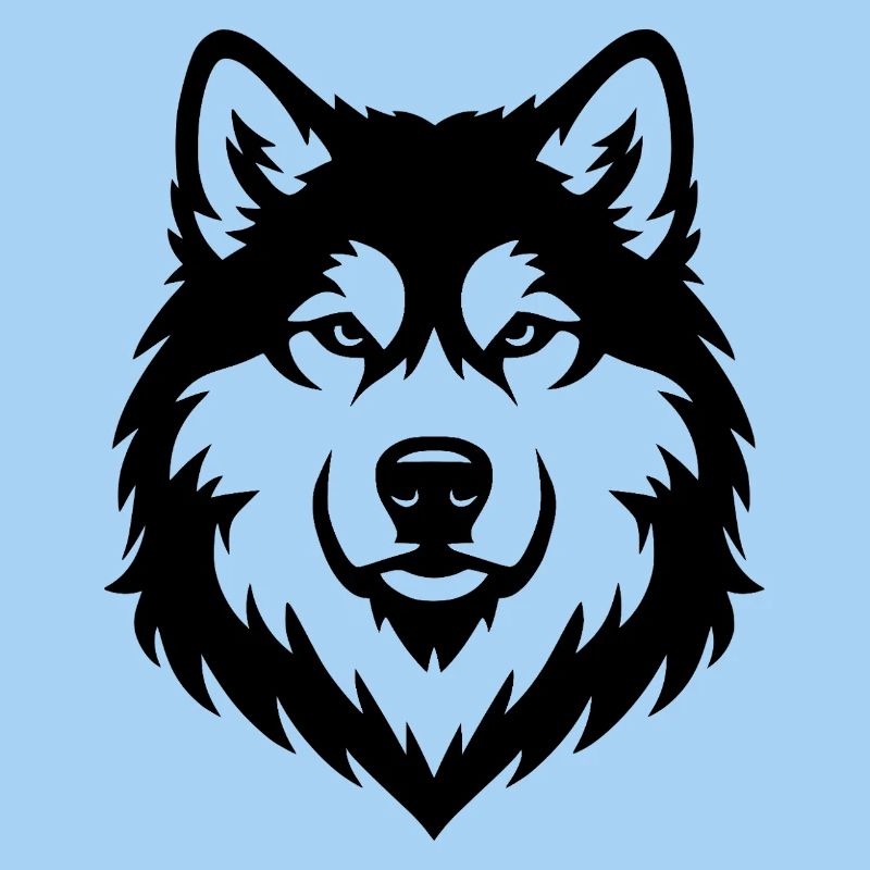 Alaskan Malamute schwaz