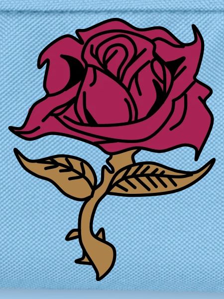 Rose (fleur)