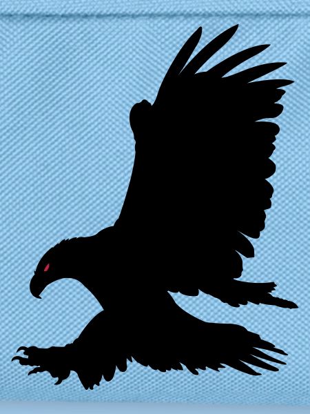 Aigle noir
