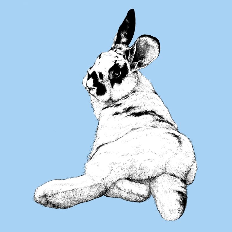 mignon lapin
