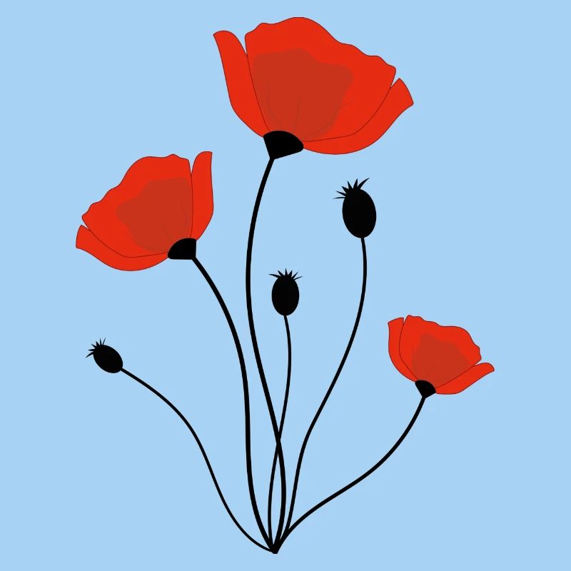 Mohnblume