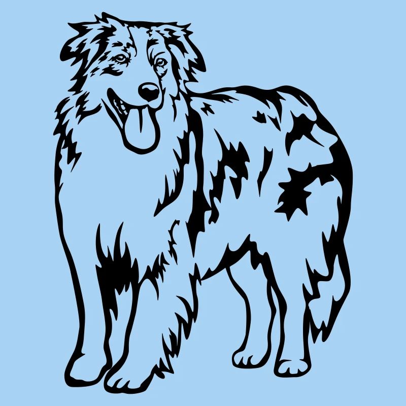 Australian Shepherd