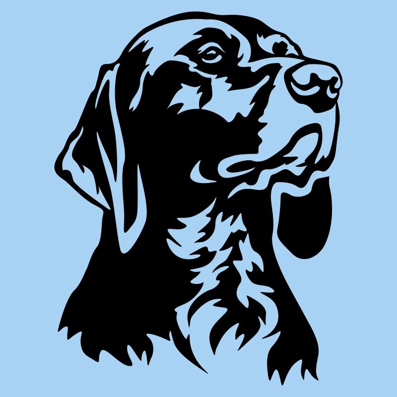 German Shorthair head