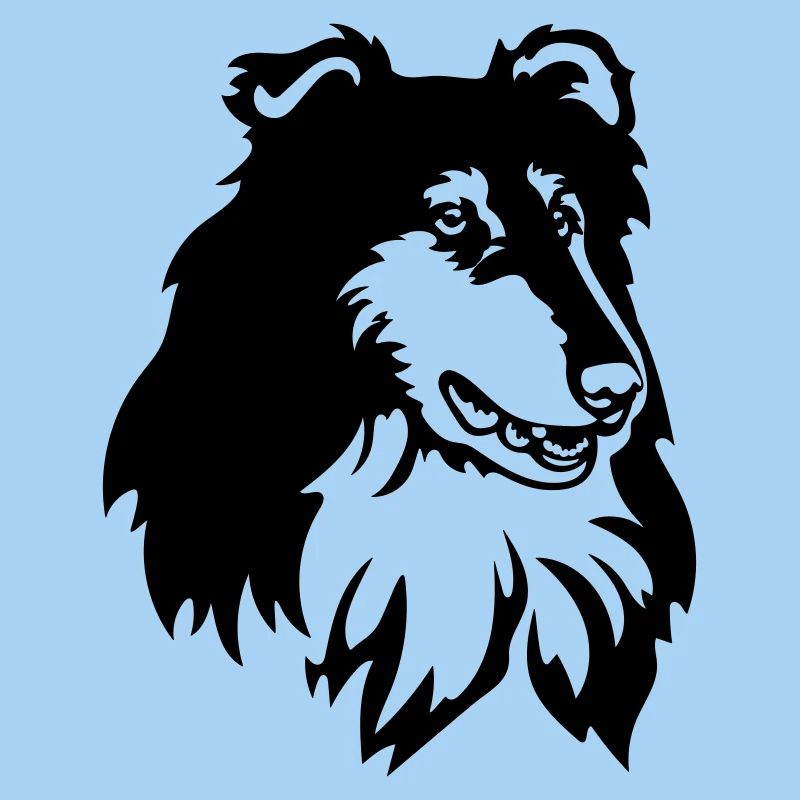 Collie Kopf