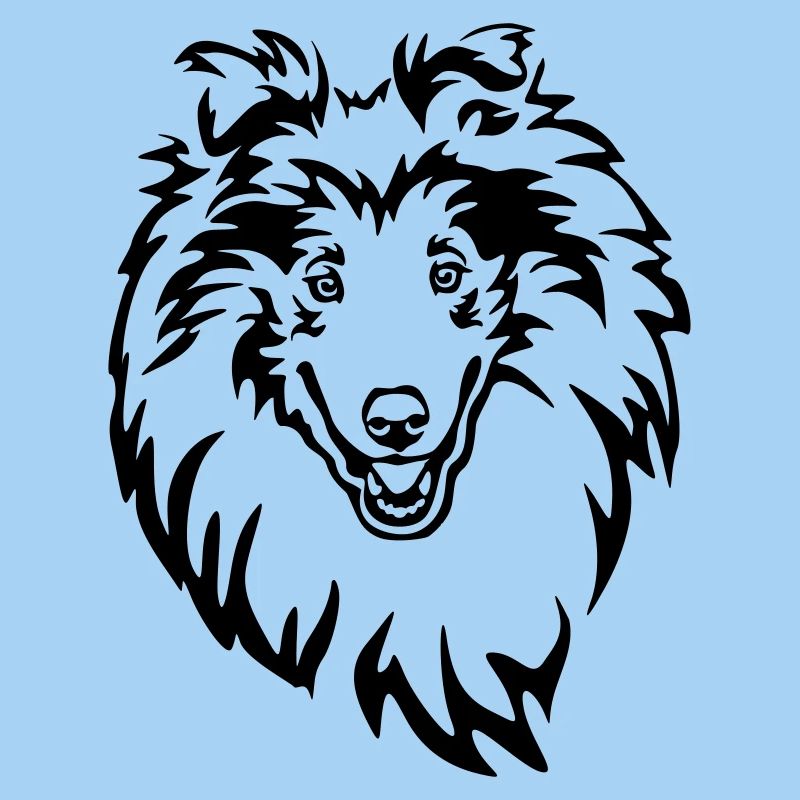 Collie Head