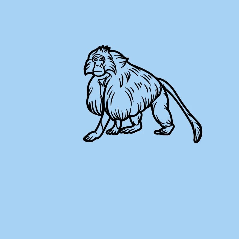 Gelada Monkey