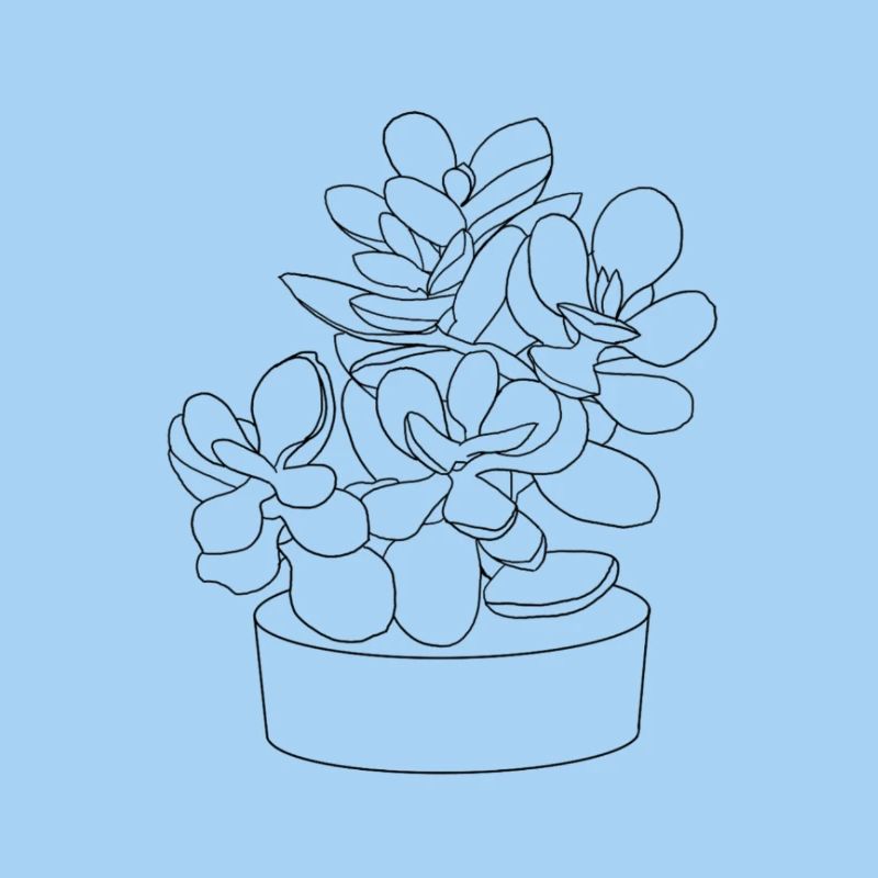 Planter