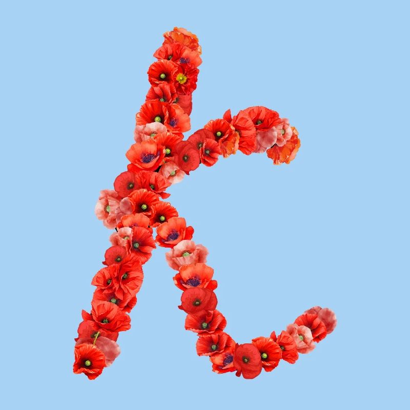 Initial K aus Mohnblumen