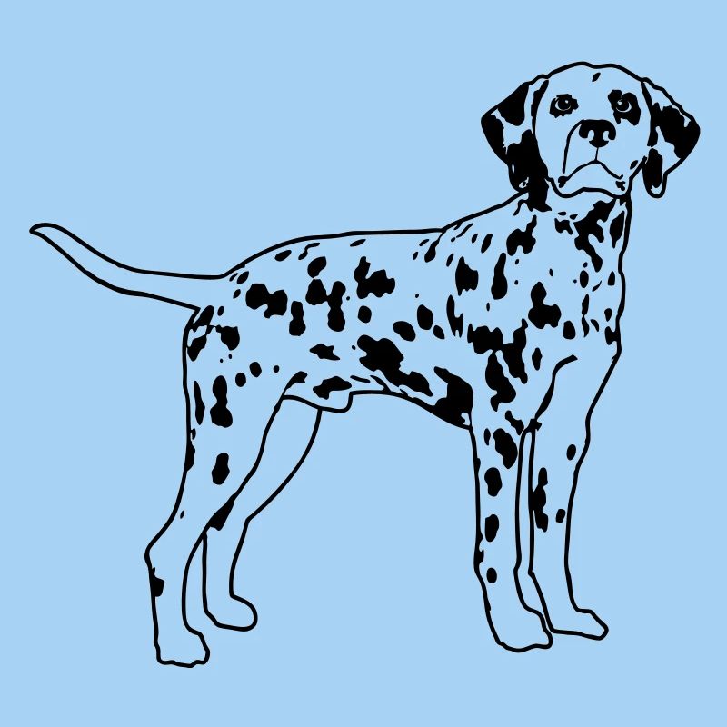 Dalmatian de