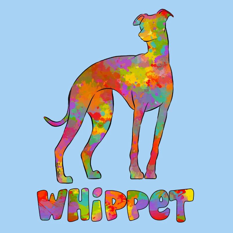 Whippet Multicolore 2